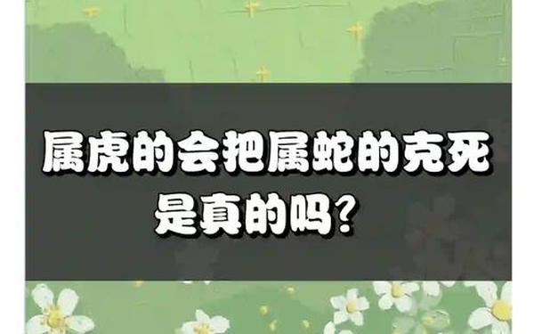属虎和属蛇的人相克吗(虎蛇相冲到底有多严重) 属虎和属蛇的人相克吗(虎蛇相冲到底有多严重)