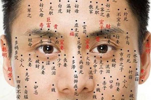 男人下巴痣相全解(男人下巴有痣必大富大贵)