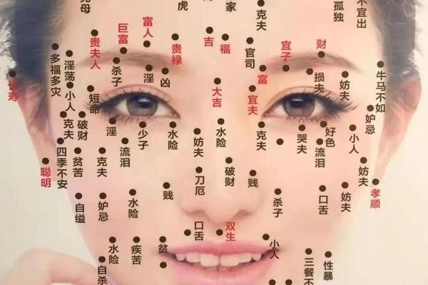 下颌骨边缘有痣 痣相—左边下颌角有痣