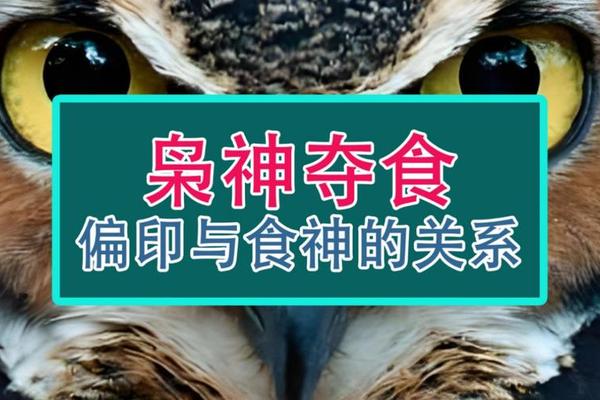 八字枭神夺食