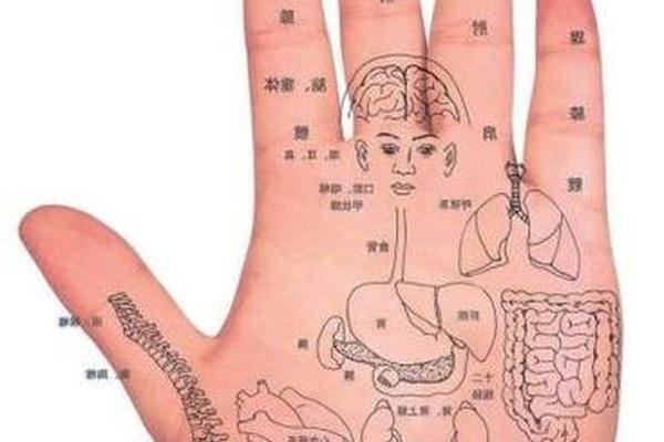 男人手指痣相大全图解 手掌痣相图解 男人手指痣相大全图解 手掌痣相图解