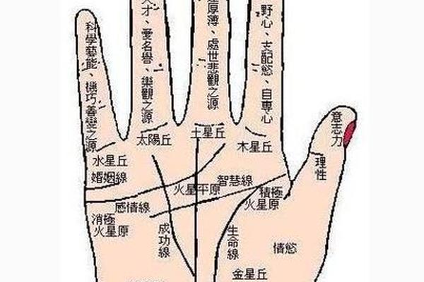 女人左手指痣相算命图解,女人左手手掌边痣图解