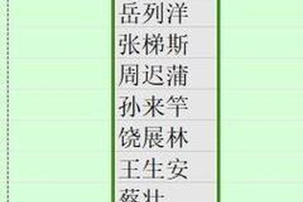 一列姓名找相同的姓名