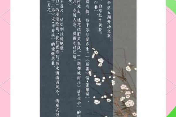 古代文化文案—传统文化文案