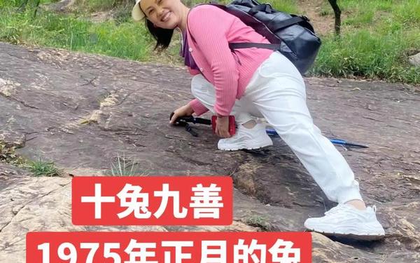 75年兔子性格 75年兔子性格