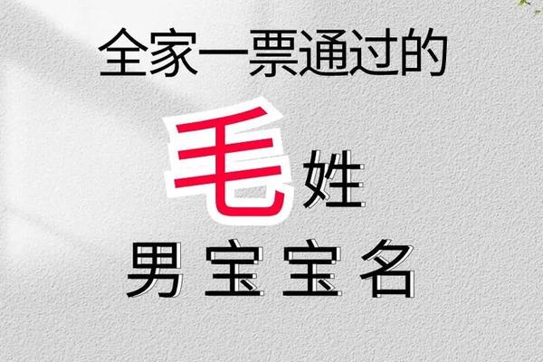 毛姓名字搞笑