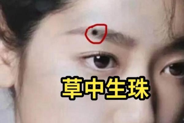 相由心生眉心有痣、眉中痣是顶级富贵痣