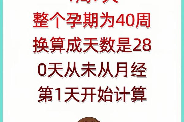 八字看怀孕时间