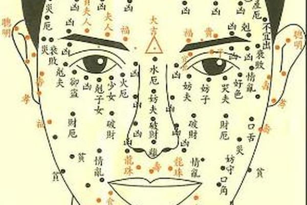 全身痣痣相-最准的全身痣相图解
