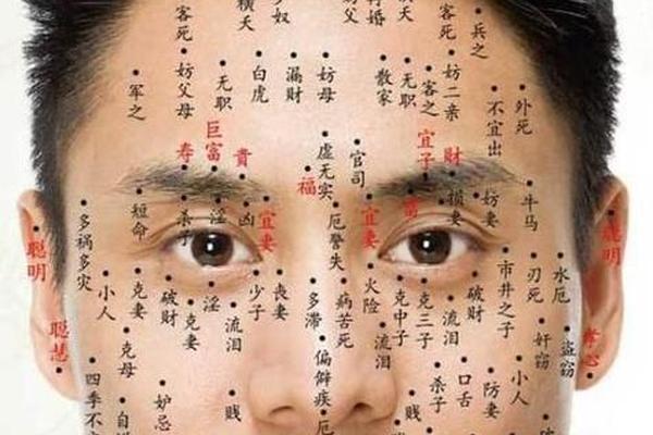 痣相大全男图解大全-男的脸上长痣面相图解