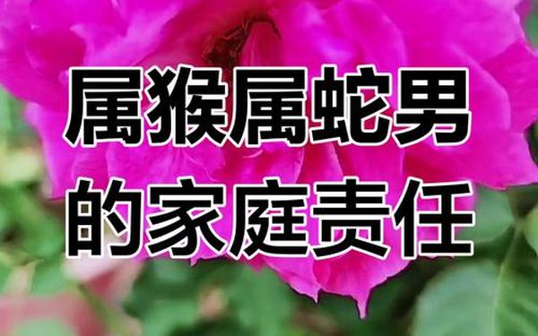 男属蛇和女属猴的婚姻怎么样(男属蛇和女属猴的适合做夫妻吗) 男属蛇和女属猴的婚姻怎么样(男属蛇和女属猴的适合做夫妻吗)