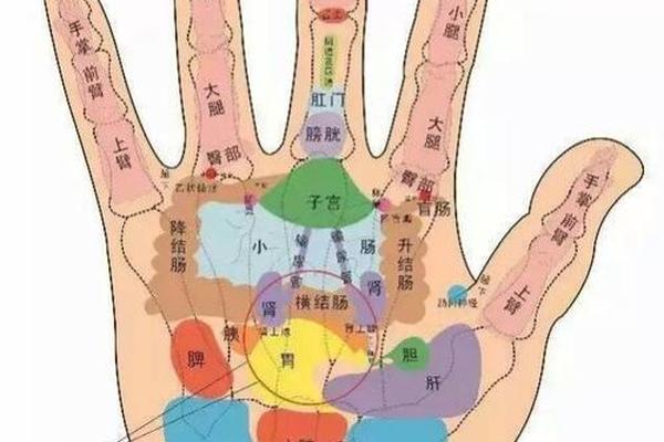 男子痣相吉凶图解_手掌痣相图解
