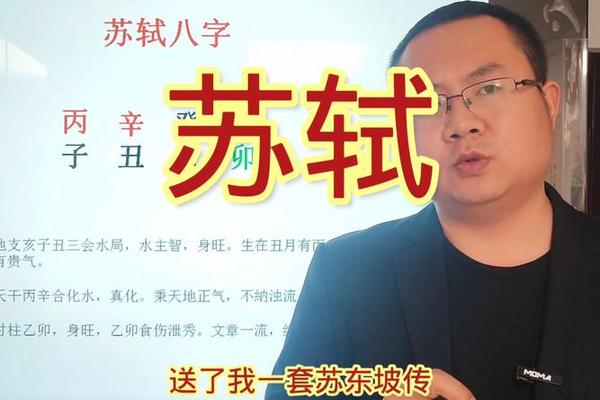 苏轼八字