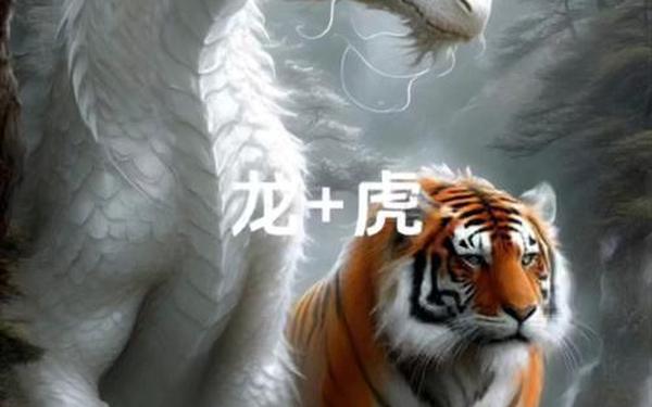 属虎和龙在一起好不好,属虎跟属蛇的人在一起怎么样