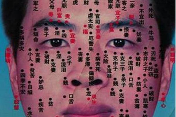 麻衣神相男人右肩膀有痣;男人右肩膀长痣图解大全 麻衣神相男人右肩膀有痣;男人右肩膀长痣图解大全