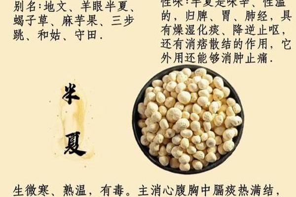 风吹半夏姓名中药
