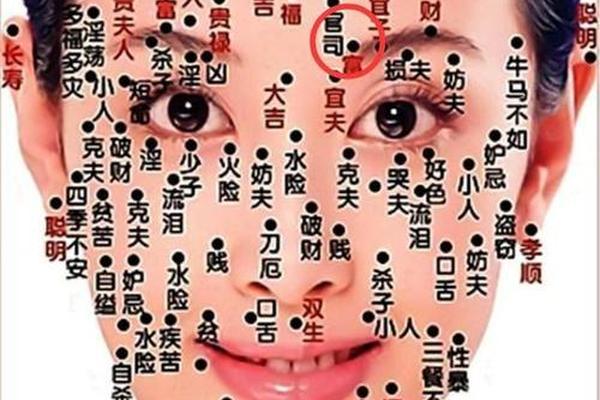 眉毛长痣相大好吗;眉毛长痣图解