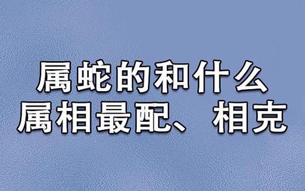 蛇最好的配对象是什么 蛇最好的配对象是什么