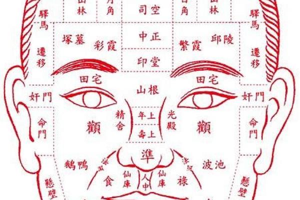 痣相男人脸上图片_男的脸上长痣面相图解