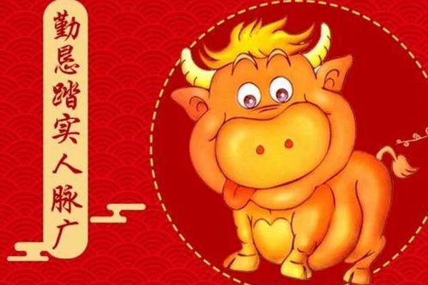 属牛的今年犯太岁吗穿红衣服,属牛人不能穿红色衣服吗
