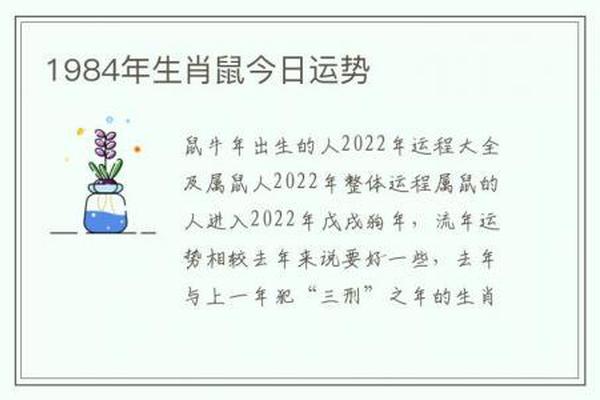 1984年属鼠是什么命2021年运势
