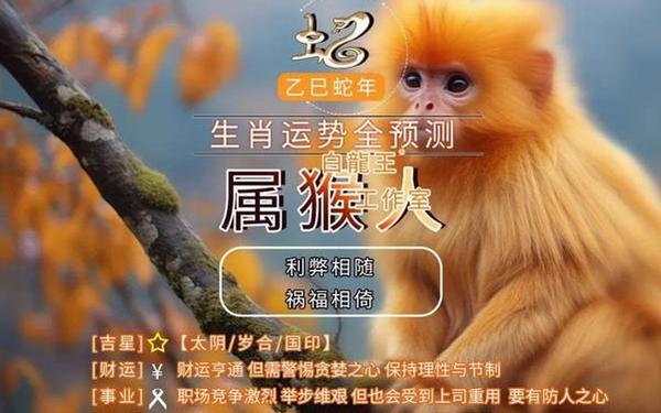 属猴的人干什么行业适合(属猴人适合做哪类生意) 属猴的人干什么行业适合(属猴人适合做哪类生意)