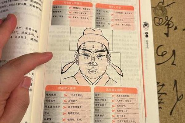 天下无痣麻衣神相全解_麻衣神相一般人能学吗