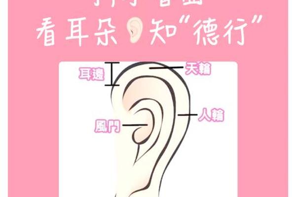 痣相和耳相,痣的位置与命运图解耳朵