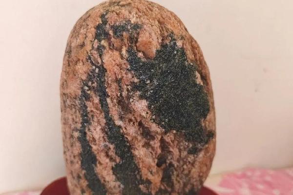 龙文化传承人龙京石,陕西岁龙金石艺术品有限公司