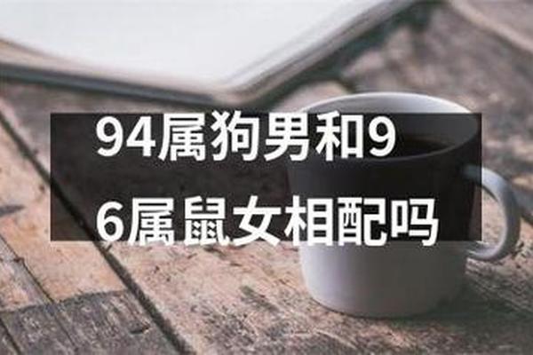 96女鼠94男狗的婚姻怎么样