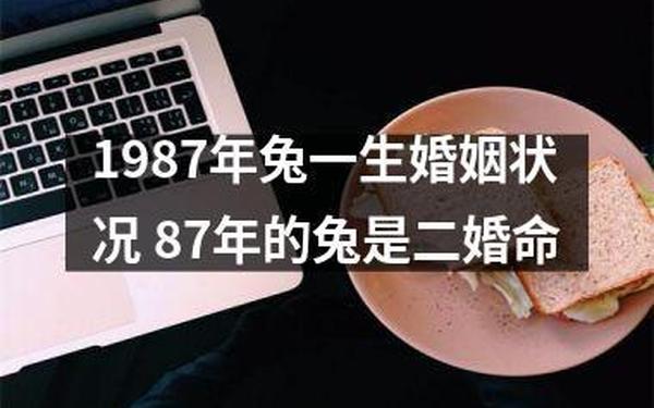 87属兔二次婚姻在几岁 87属兔二次婚姻在几岁