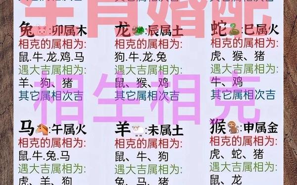 82年的生肖配对 82年的生肖配对