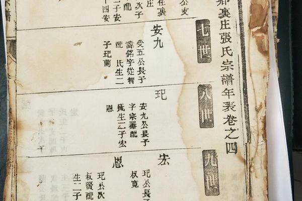 张家家谱怎样查找姓名和姓名