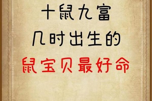 2008年属鼠的男孩一生的命运