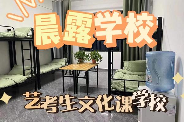 艺术文化培训学校;文化课培训