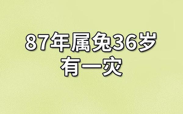 87年属兔人终身的劫难年在何时 87年属兔人终身的劫难年在何时