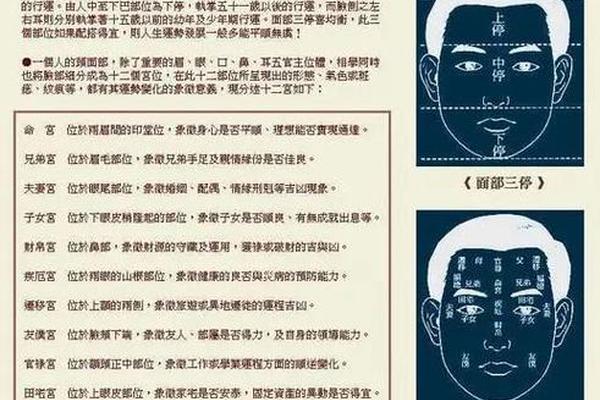 印堂痣相全解—印堂在什么位置图