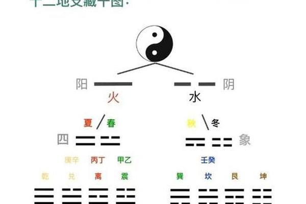 八字的阴阳