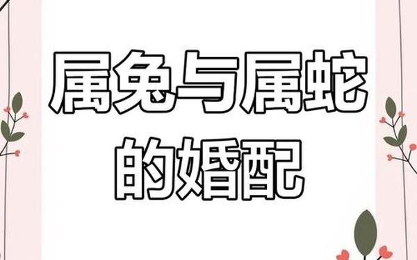 属兔与属蛇的婚配怎么样 属兔与属蛇的婚配怎么样