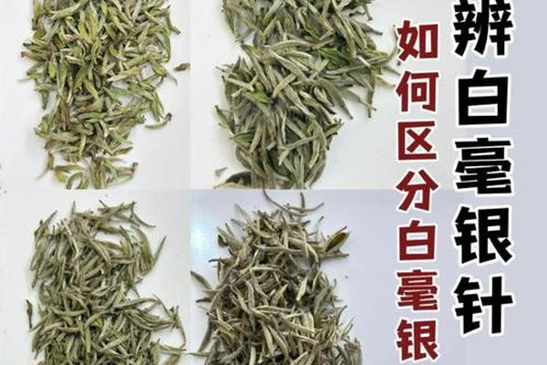 白毫相是痣吗 痣上长白毛还是福痣吗