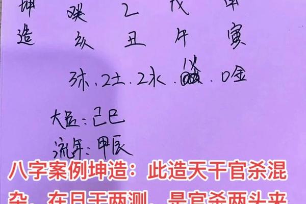 八字杀食