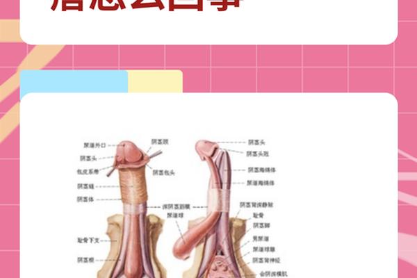 表皮长有黑痣 痣相 阴痉长黑痣是什么原因