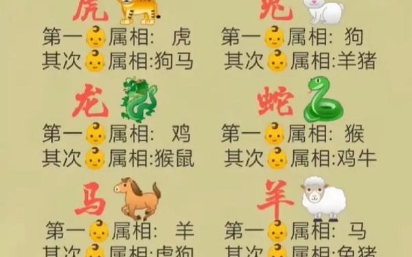 属鼠的今年多大岁数 属鼠的今年多大岁数