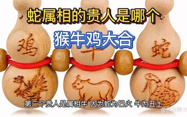 属蛇的与属猴的在一起有什么,蛇和猴在一起有财运吗 属蛇的与属猴的在一起有什么,蛇和猴在一起有财运吗