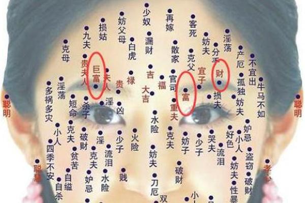 富豪痣相-巨富痣是什么意思