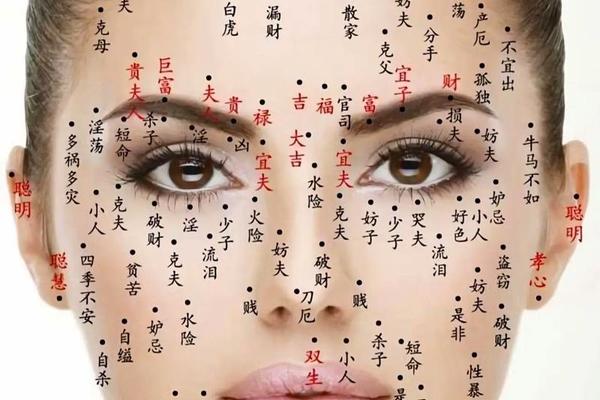 男人相痣图解;面相痣的图片大全