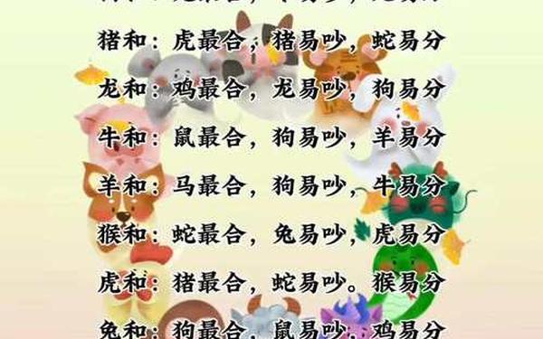 十二生肖五合的生肖 十二生肖五合的生肖
