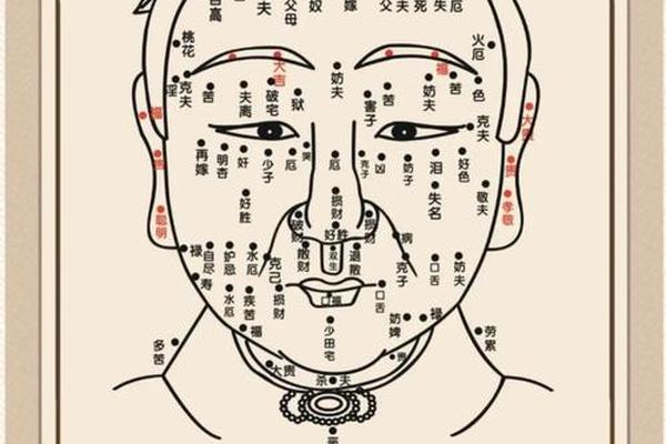 痣相大全 面相—人的痣相图解