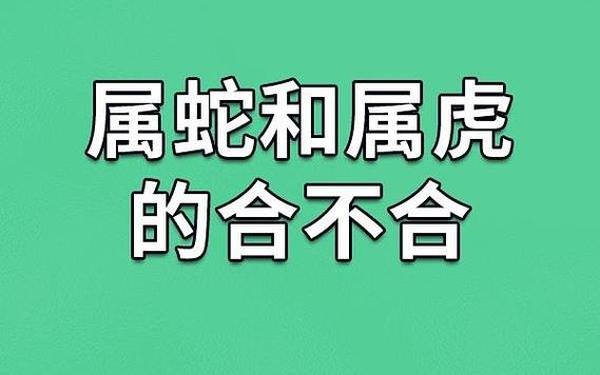 男虎女蛇相结合婚姻好不好 男虎女蛇相结合婚姻好不好