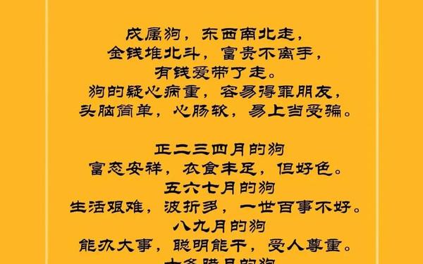 属狗的今年不顺怎么办 属狗的今年不顺怎么办